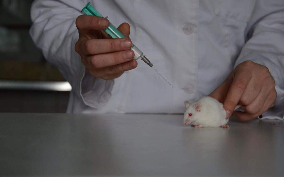 Zwei Zertifikatsplatten mit Prüfmarkierungen