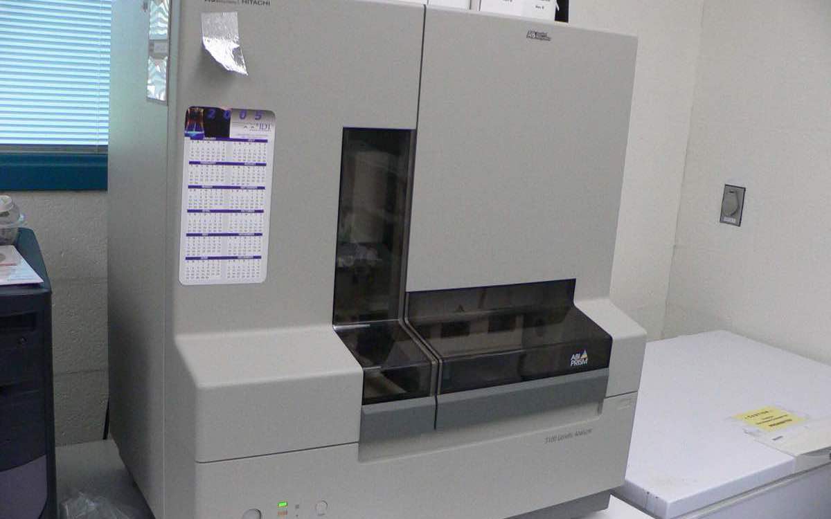 Chromatogramm mit dominantem Hauptpeak und Basislinie