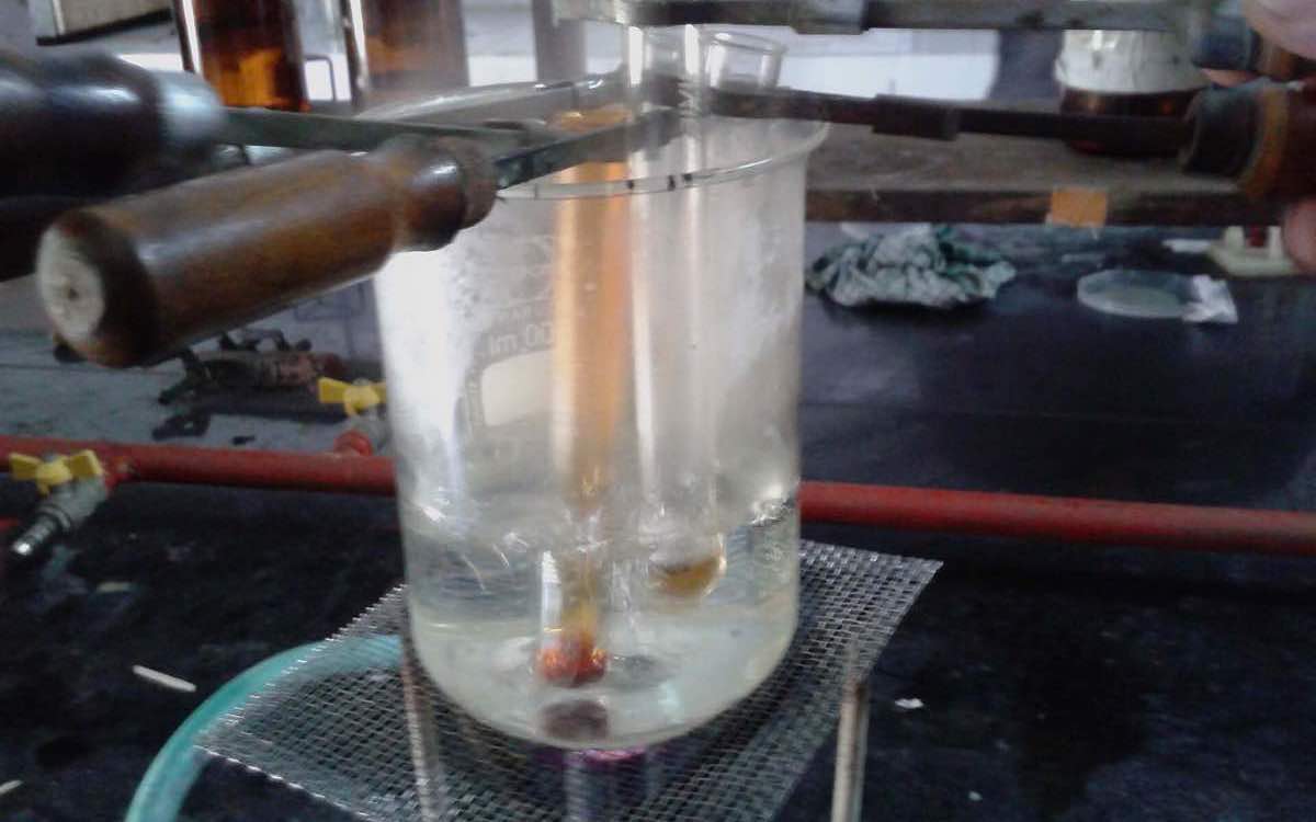 Langgestreckte Peptidkette mit N-terminaler Markierung