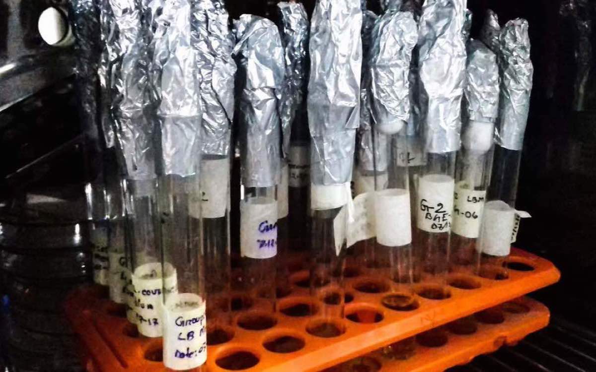Verteilungskurve über mehrere Molekülgrößen