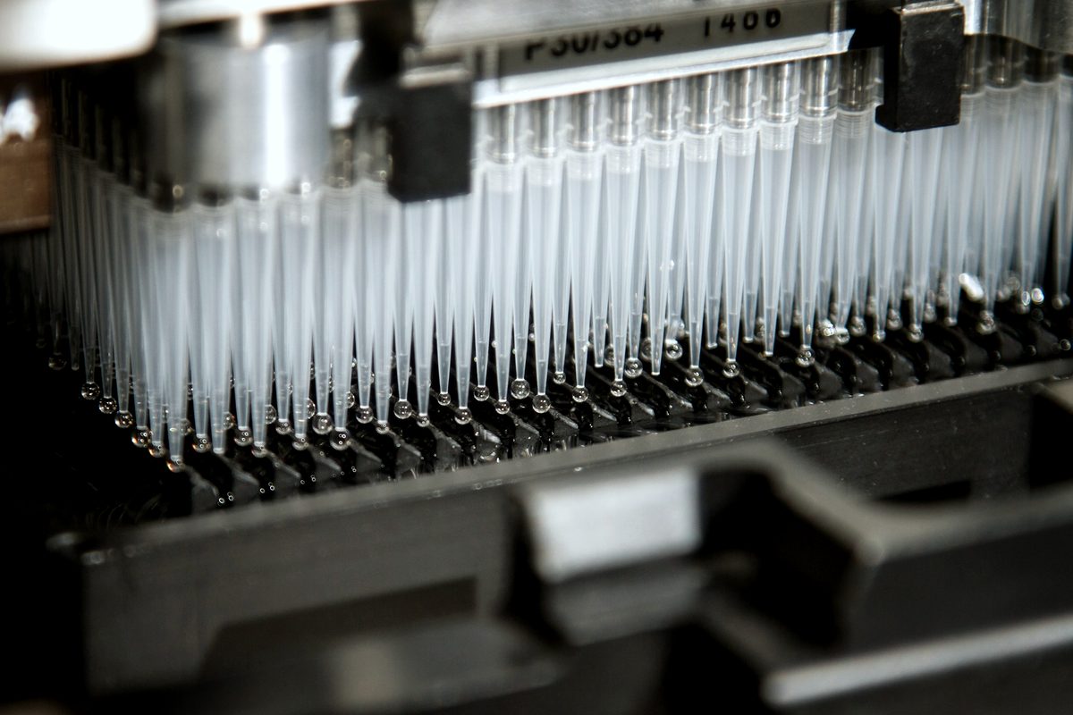 Nahaufnahme eines Pipettierkopfes über einer Probenplatte im Hochdurchsatzformat